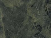 Camouflage Green zoom.JPG